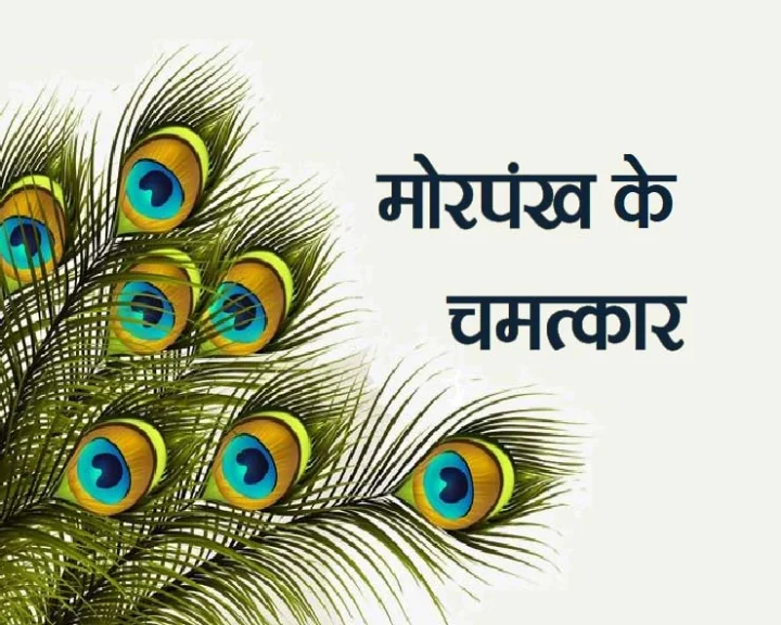 peacock feather remedies