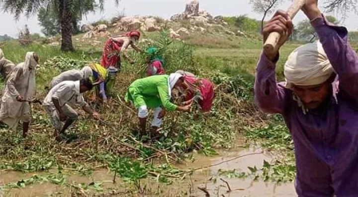 India