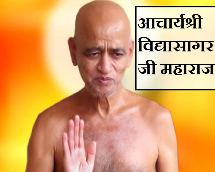 Vidya Sagar Ji Maharaj