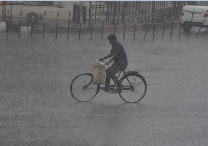 Meteorological Department