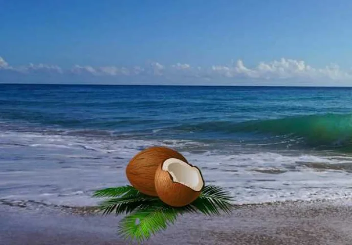 Coconut day