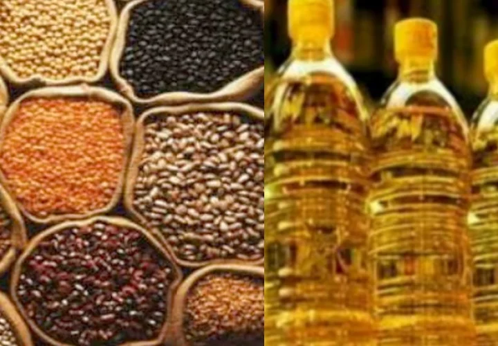 Delhi oil-oilseed market