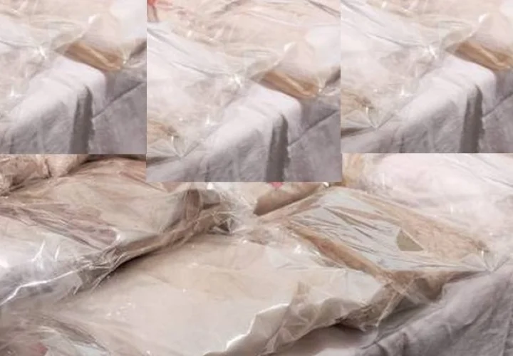 Drugs seized