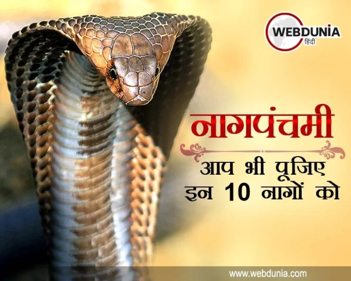 photo feature 10 naga