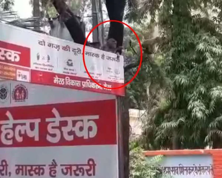 meerut collectorate campus