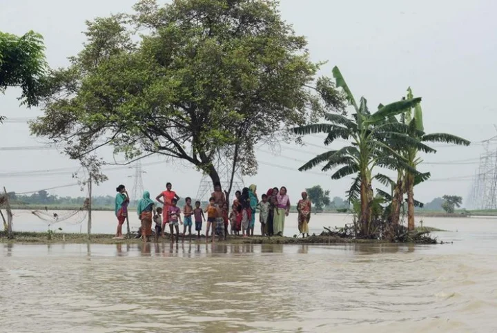 Godavari river
