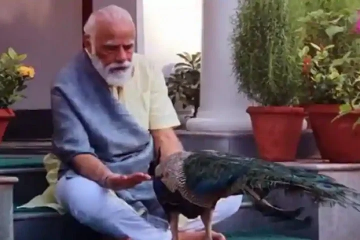 Prime Minister Narendra Modi