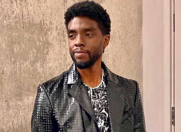 Black Panther Hero