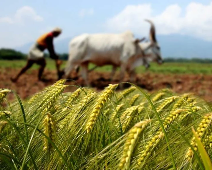 Agriculture