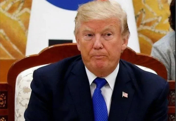 Donald Trump appoints US ambassadors to NATO and Canada