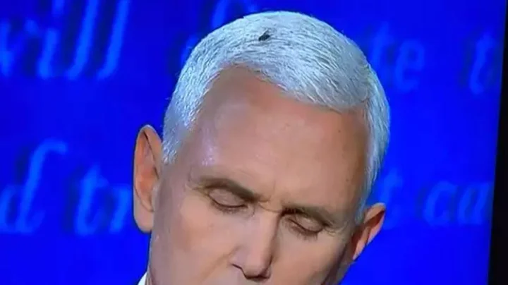 डोनाल्ड ट्रंप यांच्या जागी माईक पेन्स राष्ट्राध्यक्ष होणार?