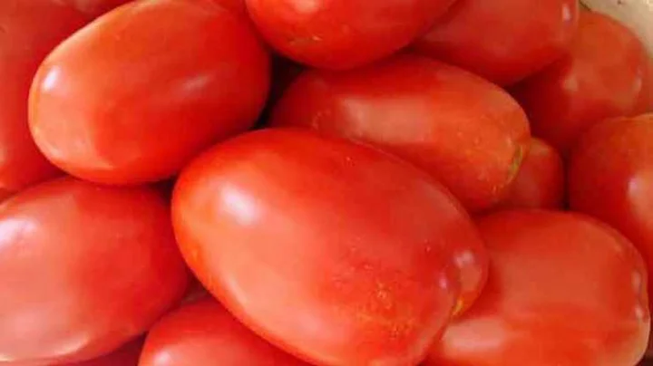Tomato will not be expensive now