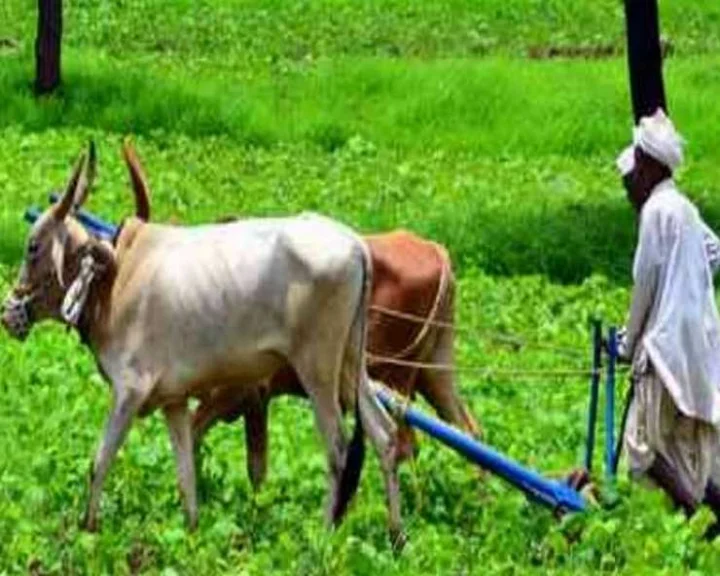 Kisan Par Kavita
