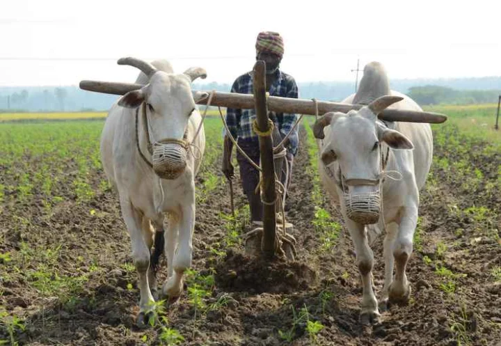 Agricultural Law