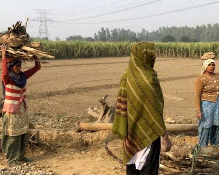 Farmer movement