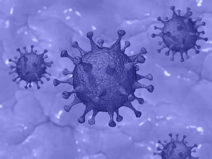 corona virus india update
