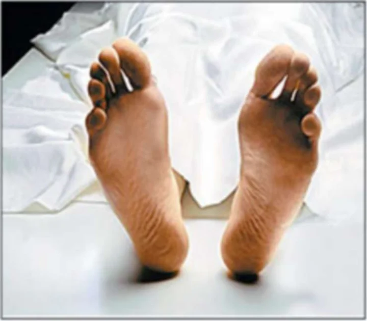 Dead body