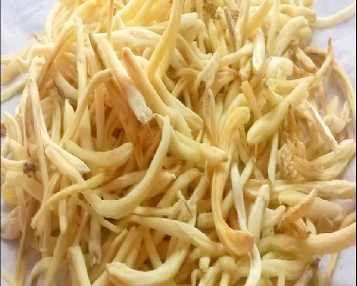 सुंदरता और स्वास्थ्य में लाभदायी है सफेद मूसली, पढ़ें फायदे