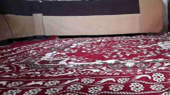 कार्पेट खरेदी करताना या गोष्टींची विशेष काळजी घ्या