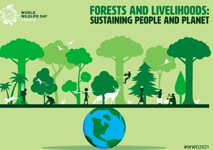 WORLD WILDLIFE DAY