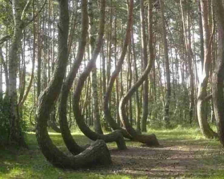Poland