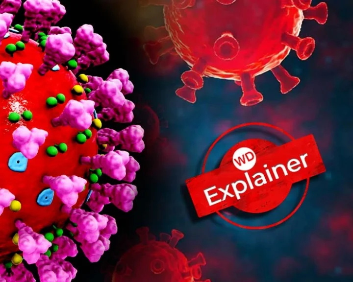 Corona virus