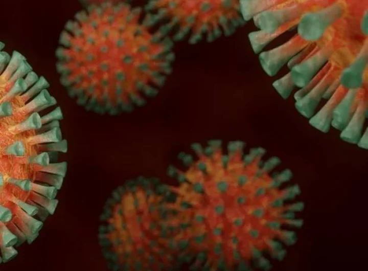 Coronavirus