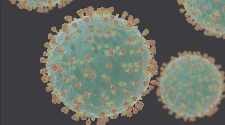 coronavirus infection