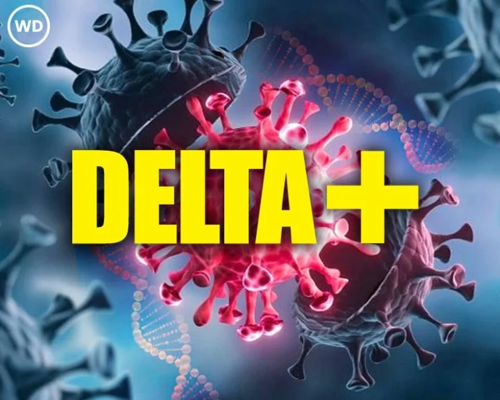 Delta Plus Variant