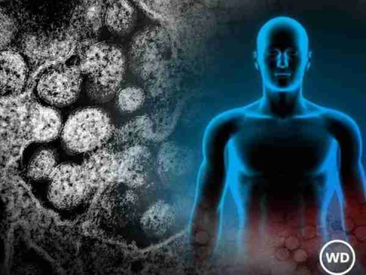coronavirus