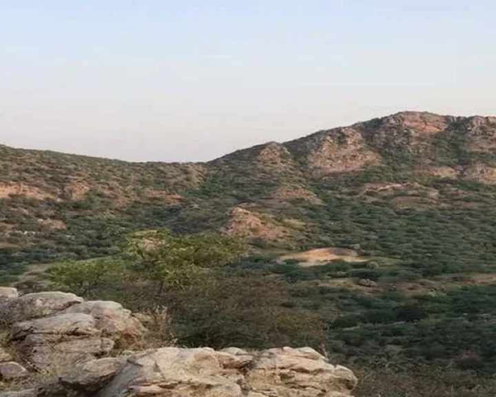 Aravalli Mountain