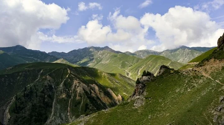 Environment