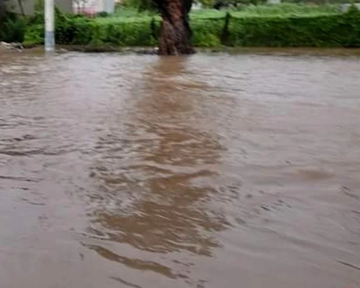 rajasthan rain