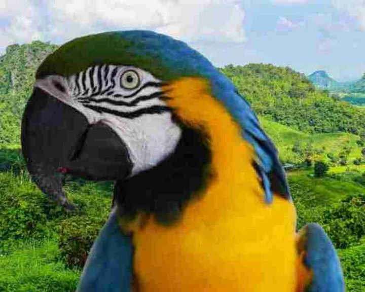 Delhi Zoo