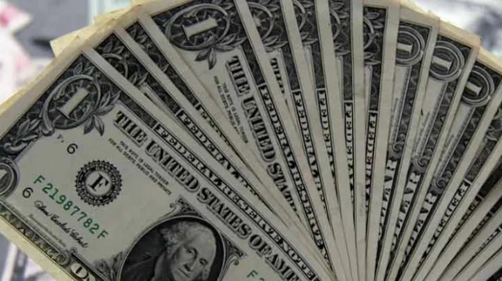 fpi investment