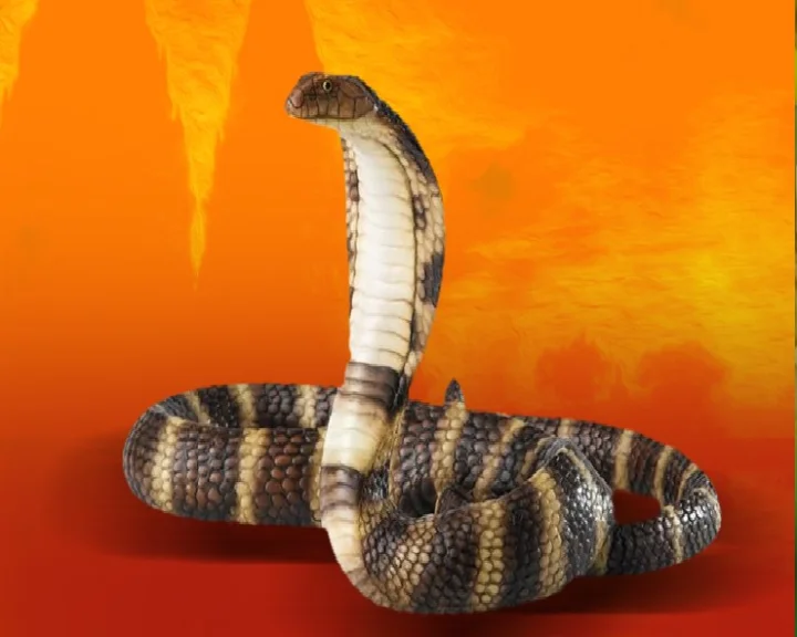 Nag Panchami Vrat