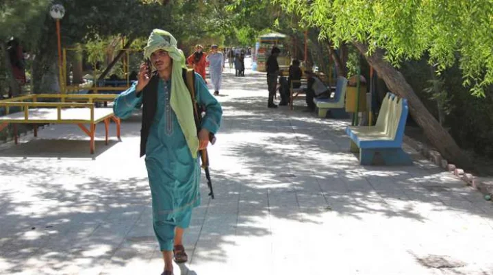 talibanyoungfighters