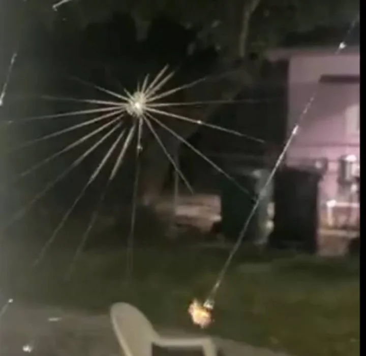 spider web
