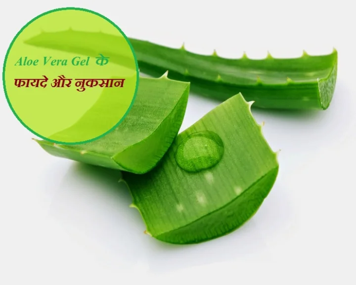 Aloe Vera Gel : एलोवेरा जेल के फायदे और नुकसान, पढ़ें सिर्फ एक क्लिक पर