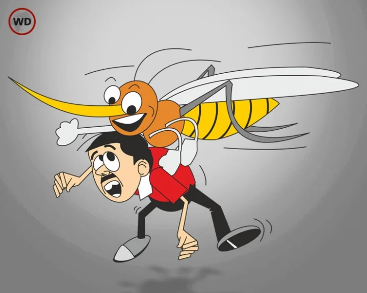 What is Dengue