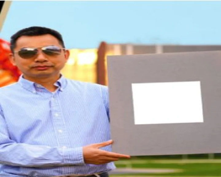 दुनिया का सबसे सफेद पेंट