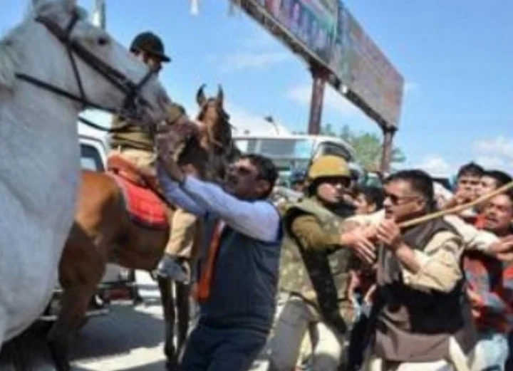 Shaktiman Horse Case