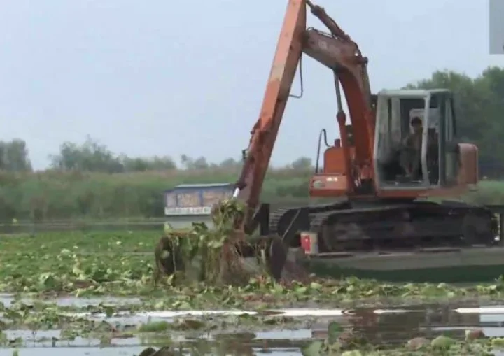 Lakes and Waterways Development Authority