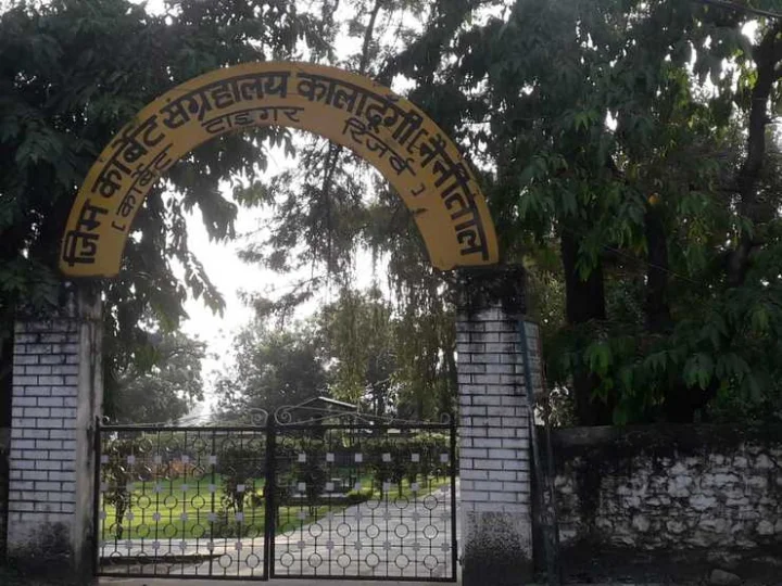 Jim Corbett National Park