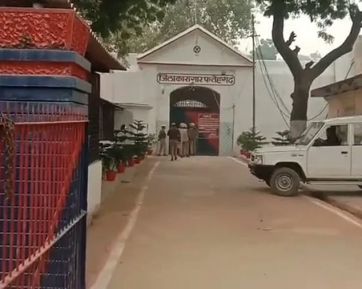 dengu