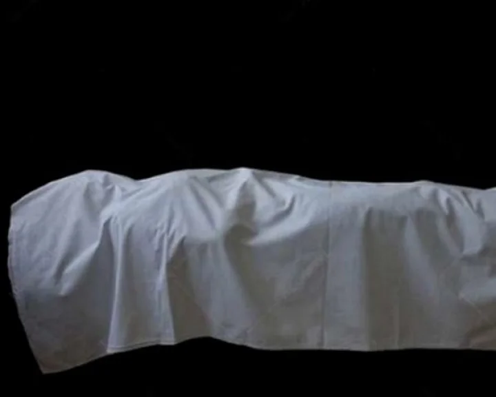 Singer dies after falling off stage during live performance गायकाचा 'लाइव्ह परफॉर्मन्स' दरम्यान 'स्टेज'वरून पडून मृत्यू