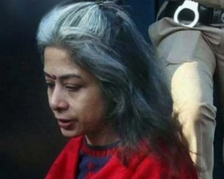 sheena bora murder case