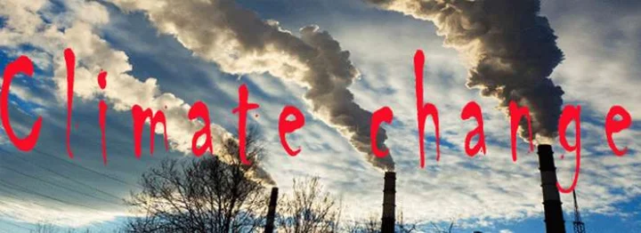 International Energy Agency