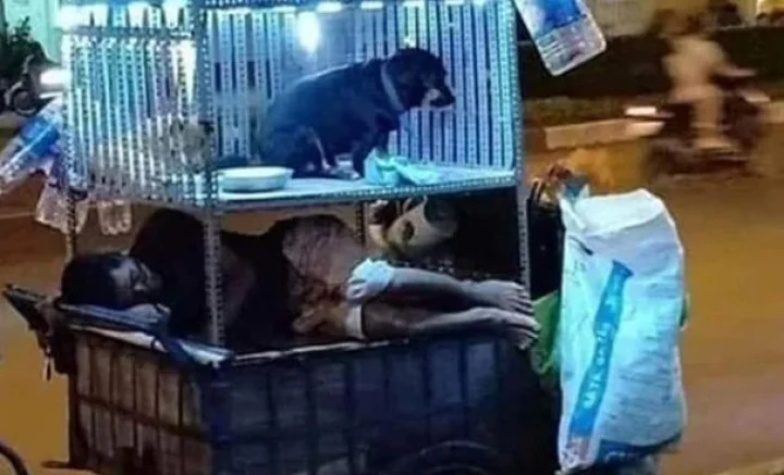 यह शख्‍स खुद सड़क पर रहता है, लेकिन अपने कुत्‍ते के लिए उसने जो घर बनाया, उसके लिए हो रही जमकर तारीफ, IPS ने शेयर की तस्वीर