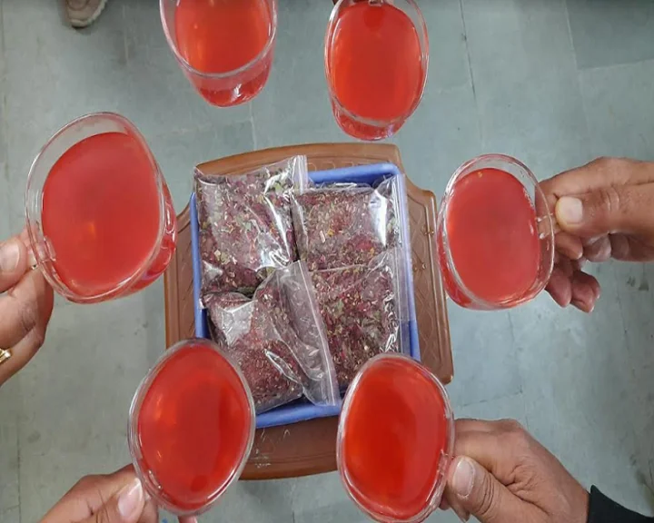 हिमालयी पौधे ‘बुरांश’ में मिले एंटी-वायरल फाइटोकेमिकल्स